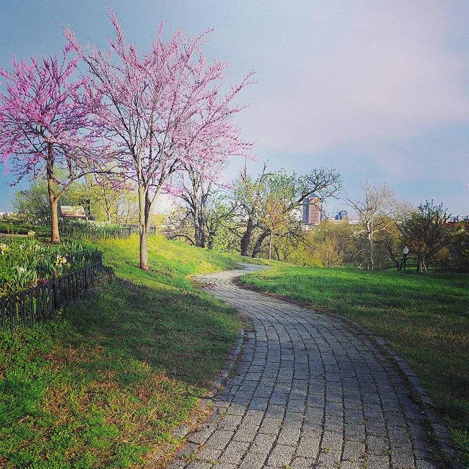 walkway
