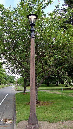 Replace Street Lighting 2