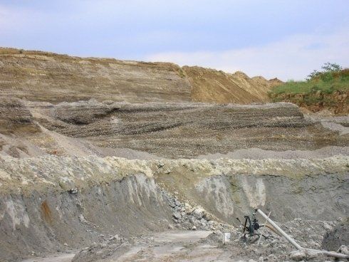 cava
