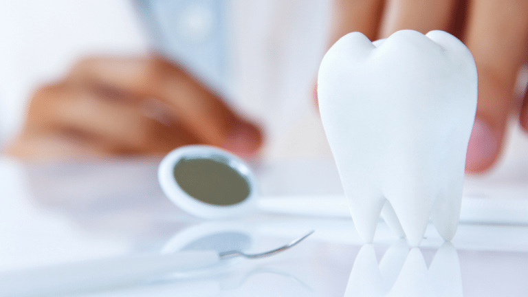 Tooth Figure Display | Manteca, CA | Legacy Local Impact Tooth Figure Display | Manteca, CA | Legacy Local Impact