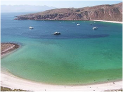 Baja