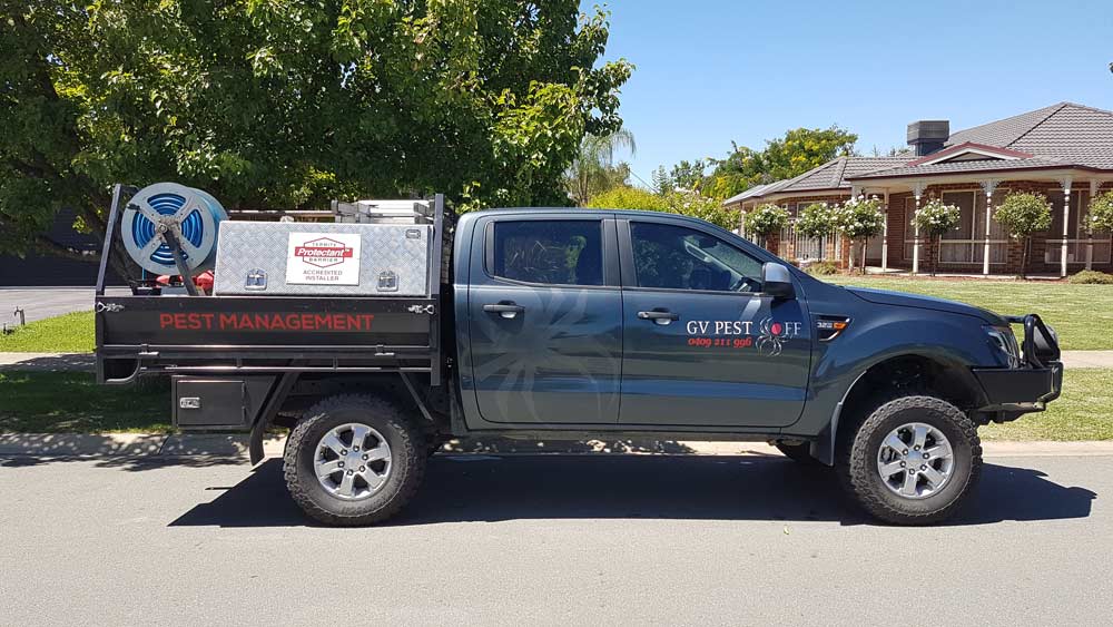 gv pest off company truck