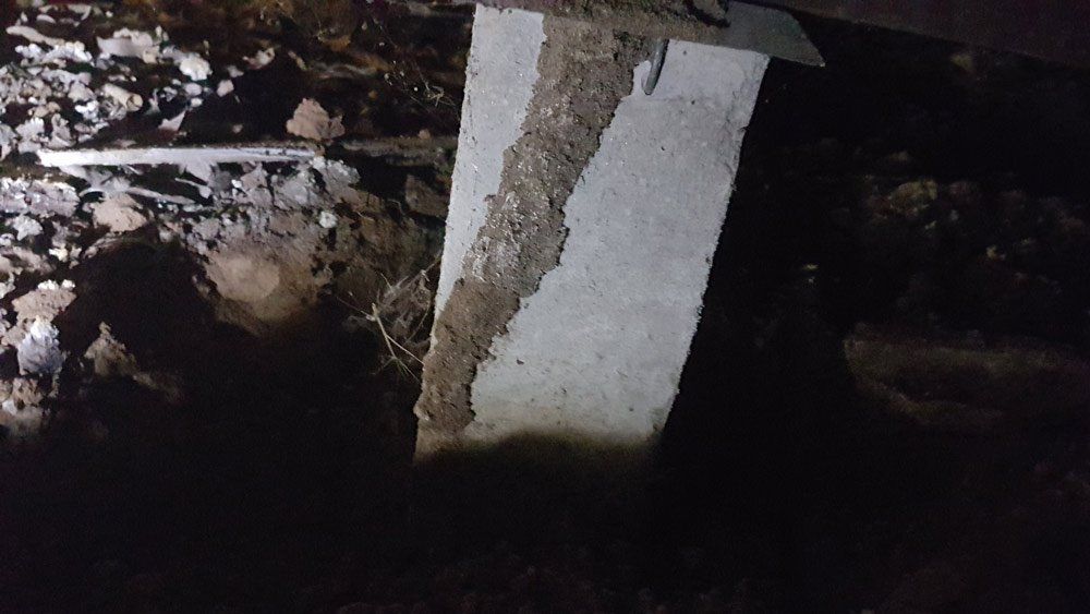 termite mound on column