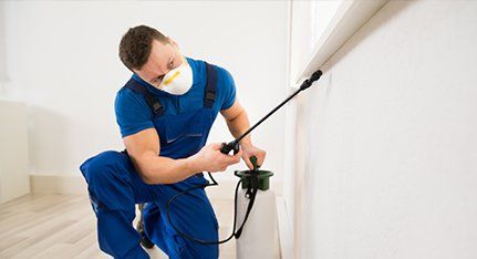 spraying under ledges