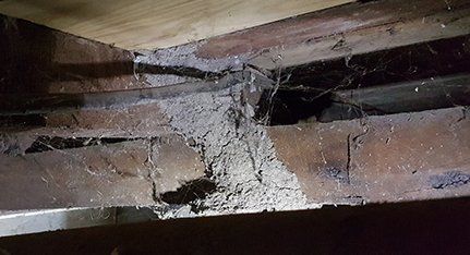 Structural house damage structural damage