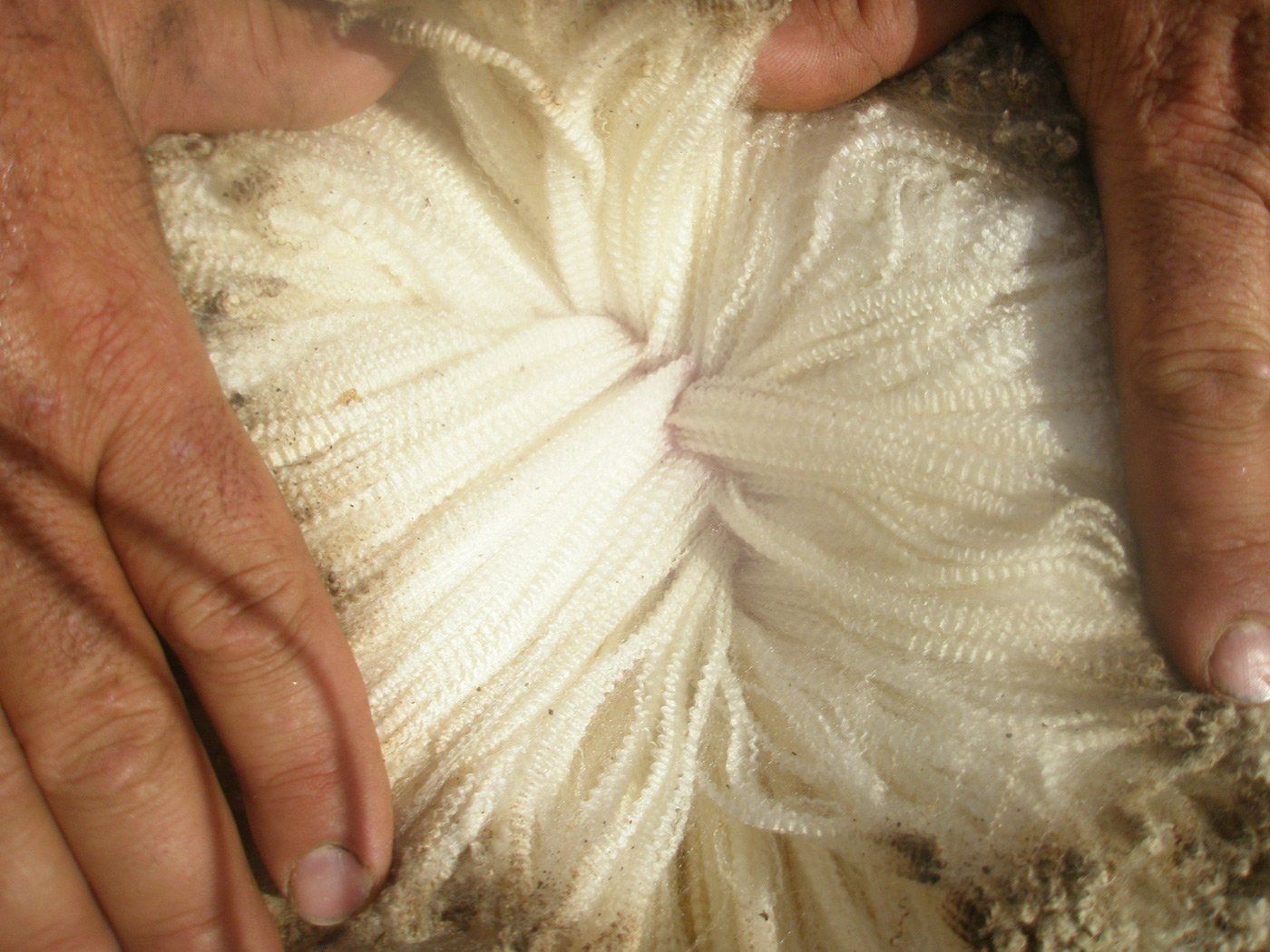 wool