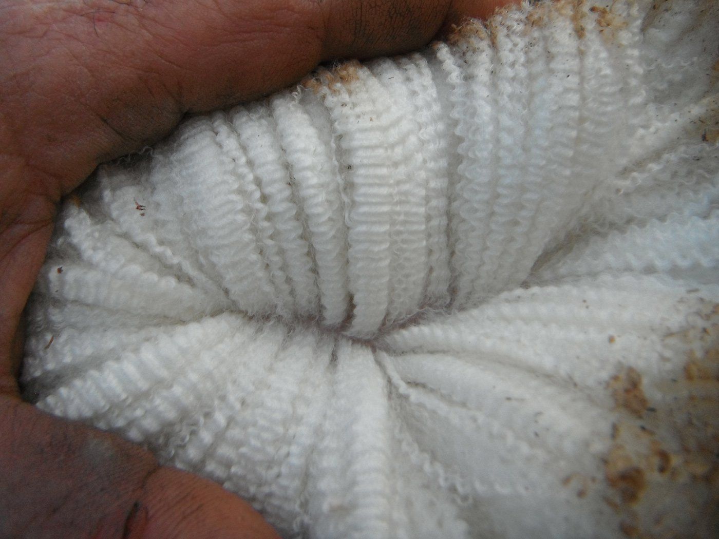 wool