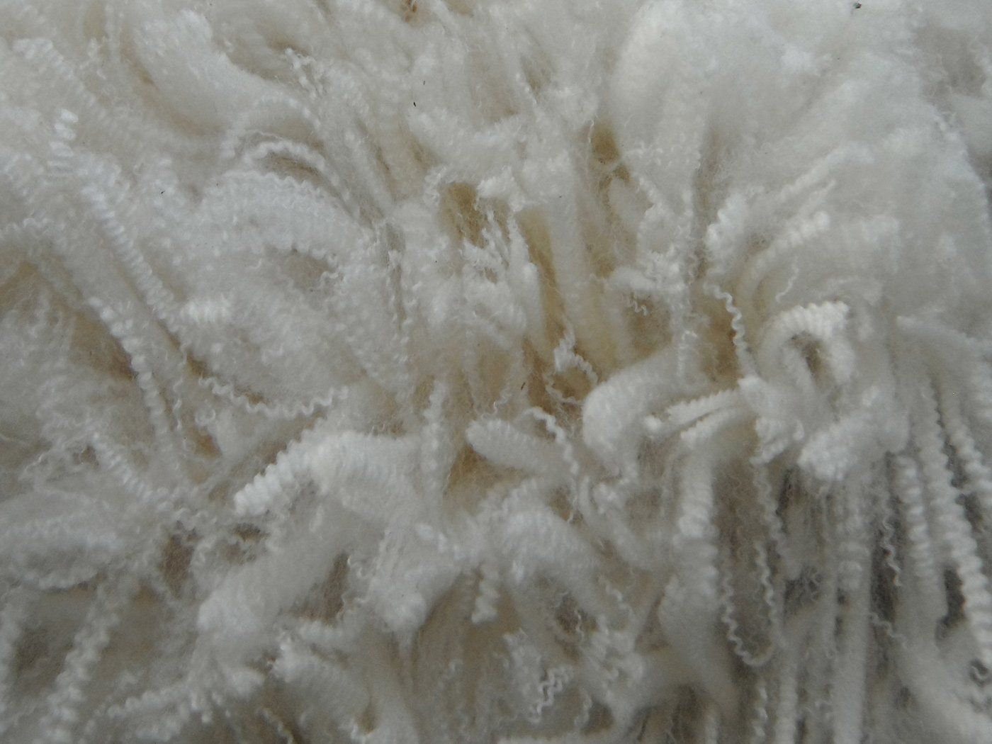 wool