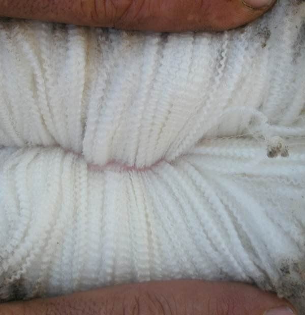 wool