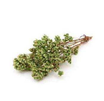origano e cucina mediterranea