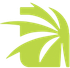 A green palm tree leaf on a white background.