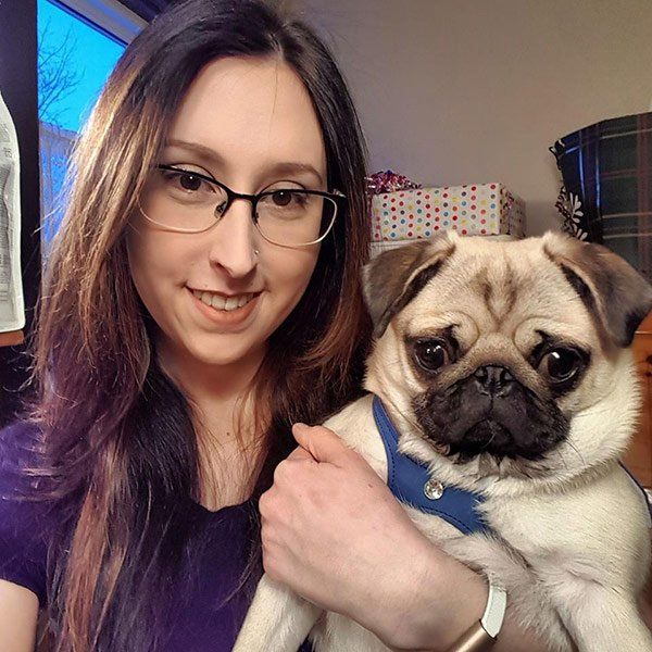 Professional dog groomers clarington | Professional dog grooming clarington