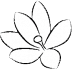 Hawaii Kai Salon & Dry Spa LLC