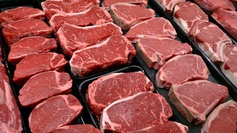 distribuidor de carne en Campeche