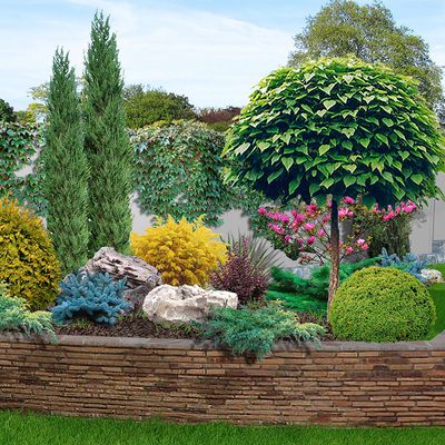 Beautiful Plants — Greensboro, NC — Aqua Treatment