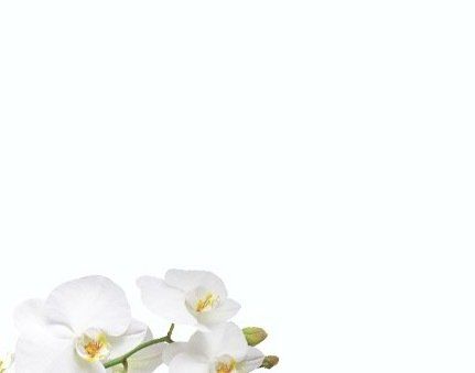 Tattoo Removal Review Boston