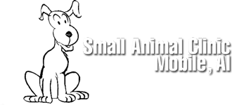 Small Animal Clinic