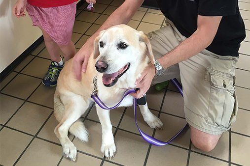 Dog Needs Nail Trim Dog Needs Nail Trim
