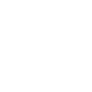 Icona – Telefono