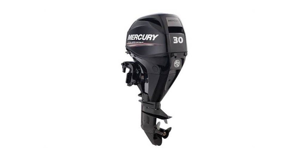 2021 FourStroke 30 HP EFI - 15 in. Shaft — Mahopac, NY — Mahopac Marina