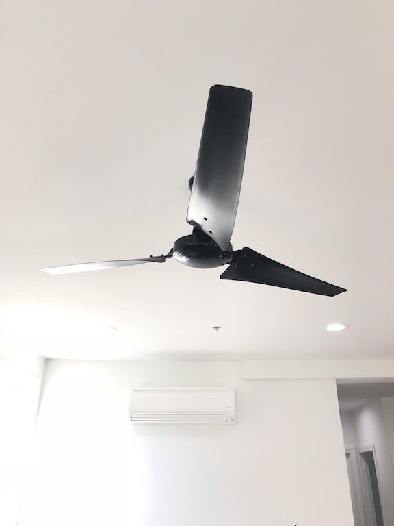 161 Bayview fan
