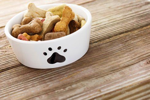pet food - veterinary service in Canon City, CO pet food - veterinary service in Canon City, CO