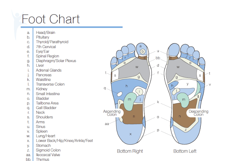 Infinite Inergy's foot chart shows a map of the body on the foot.