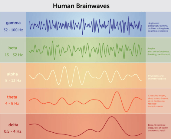 A diagram showing the different levels of human brainwaves