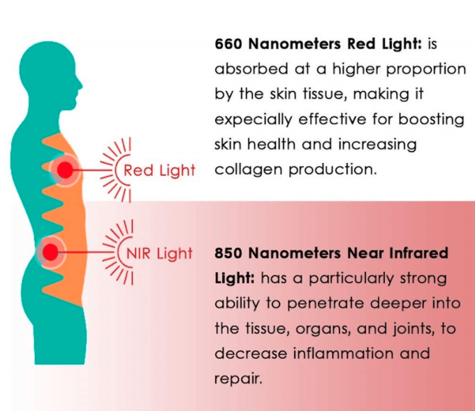 A diagram showing the effects of red light and nir light