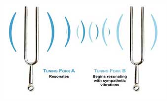AO Body Scan DIY Quantum Health at home
