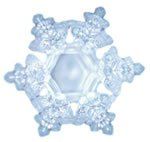 A close up of a snowflake on a white background.