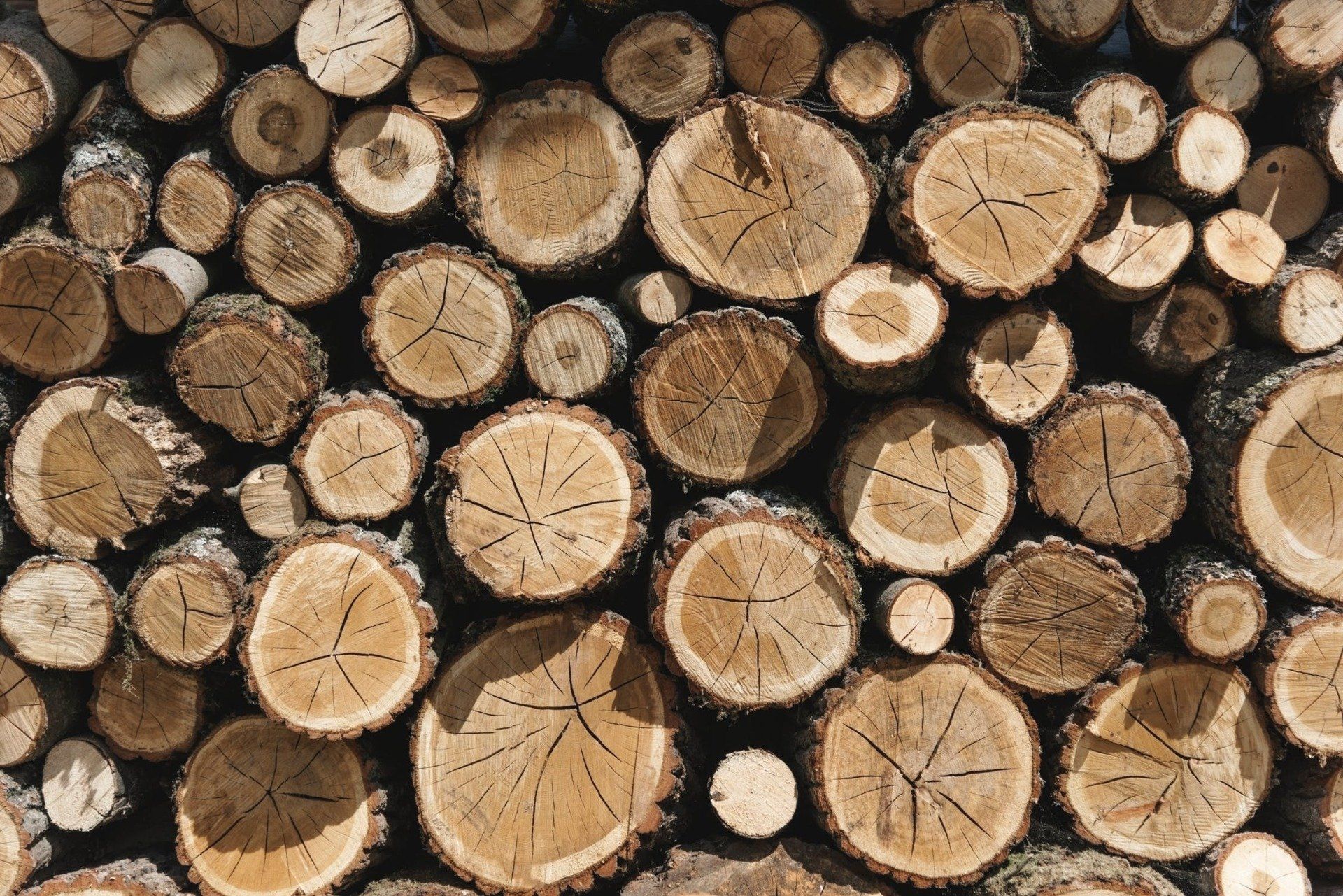 Stacked cut logs with circular wood grain patterns and bark edges.