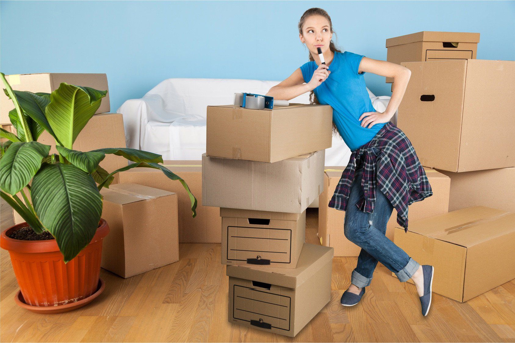 Removalist
Mornington Peninsula