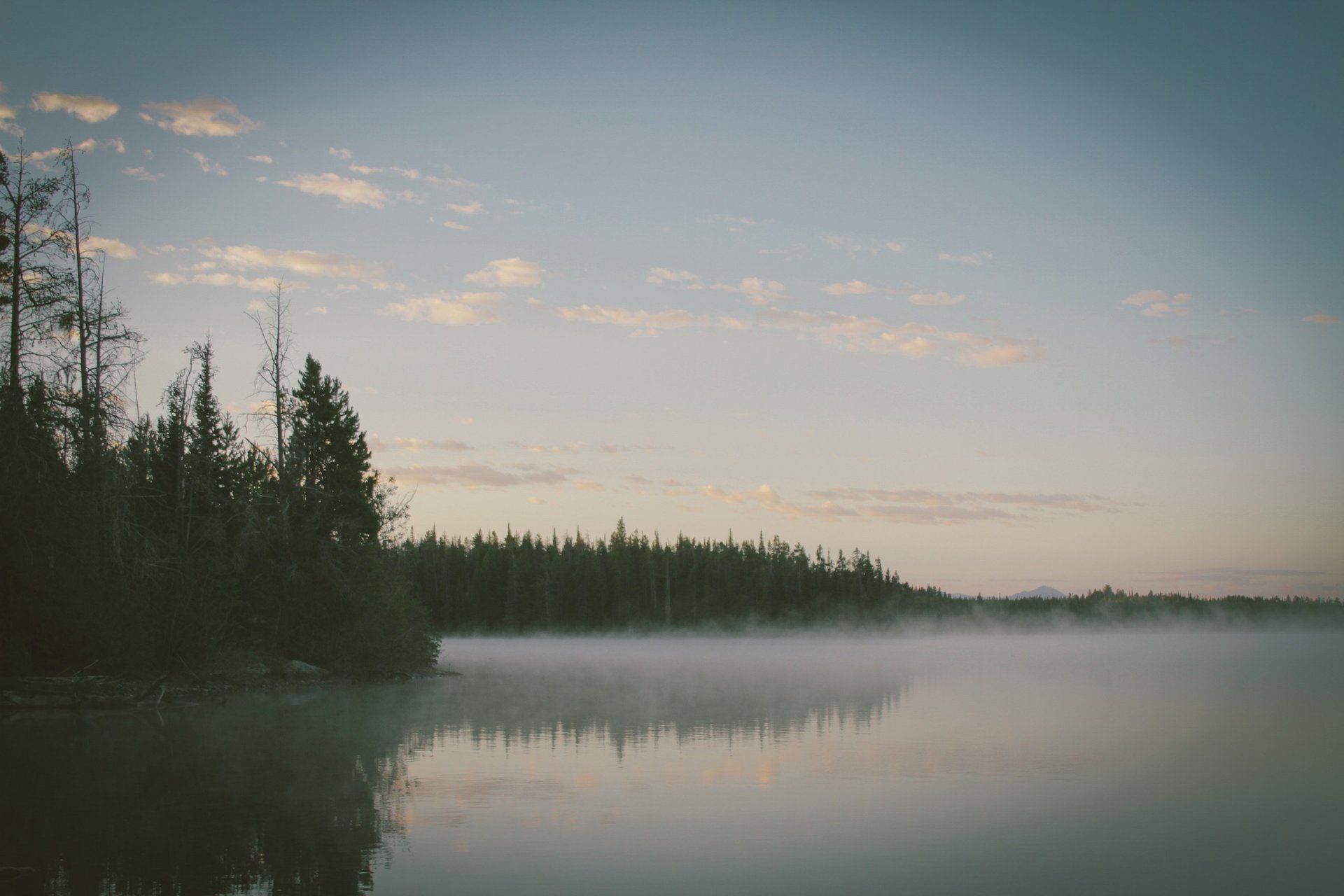 scenic lake and trees