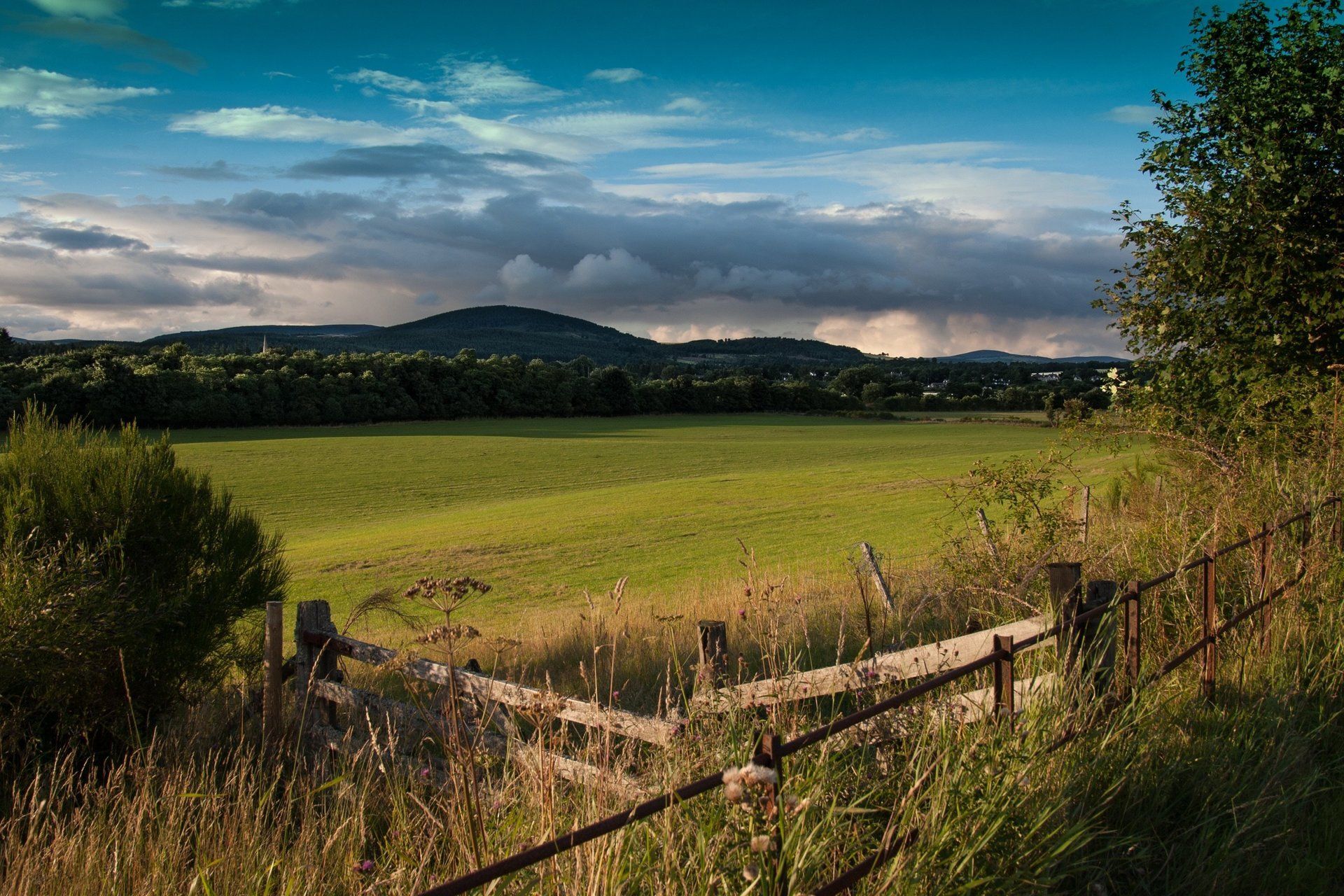 A field with a fence in the foreground and a mountain in the background