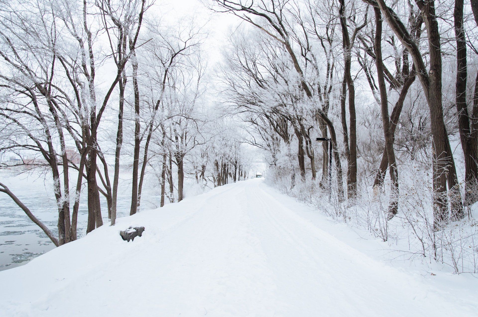 Reminder: Parking and Snow Removal