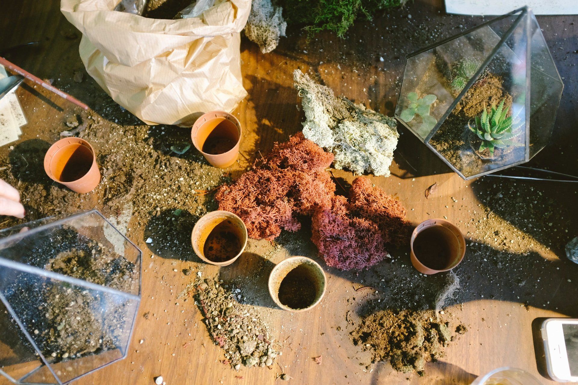 Grow Pots Report