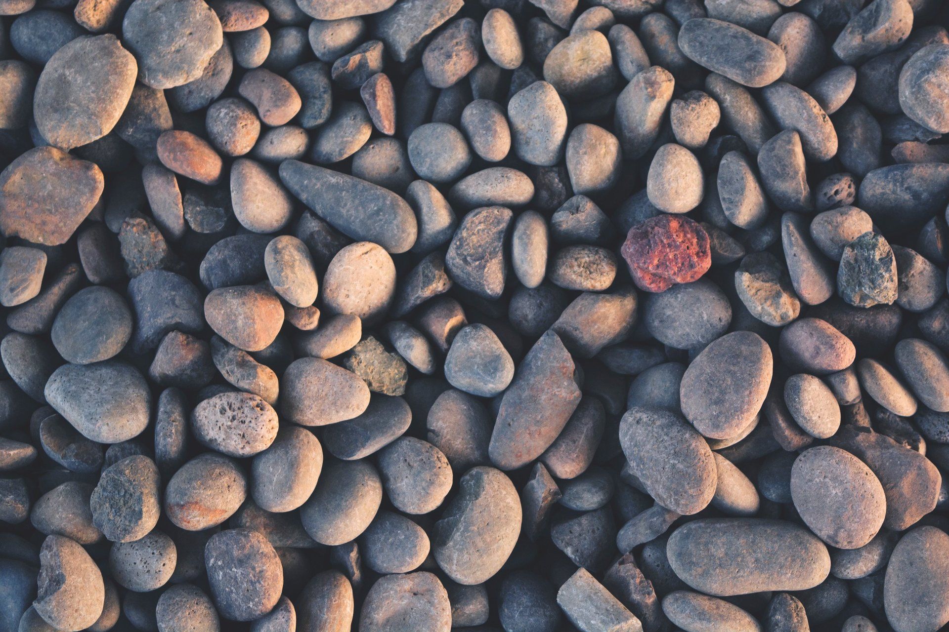 A pile of rocks with one red rock in the middle.