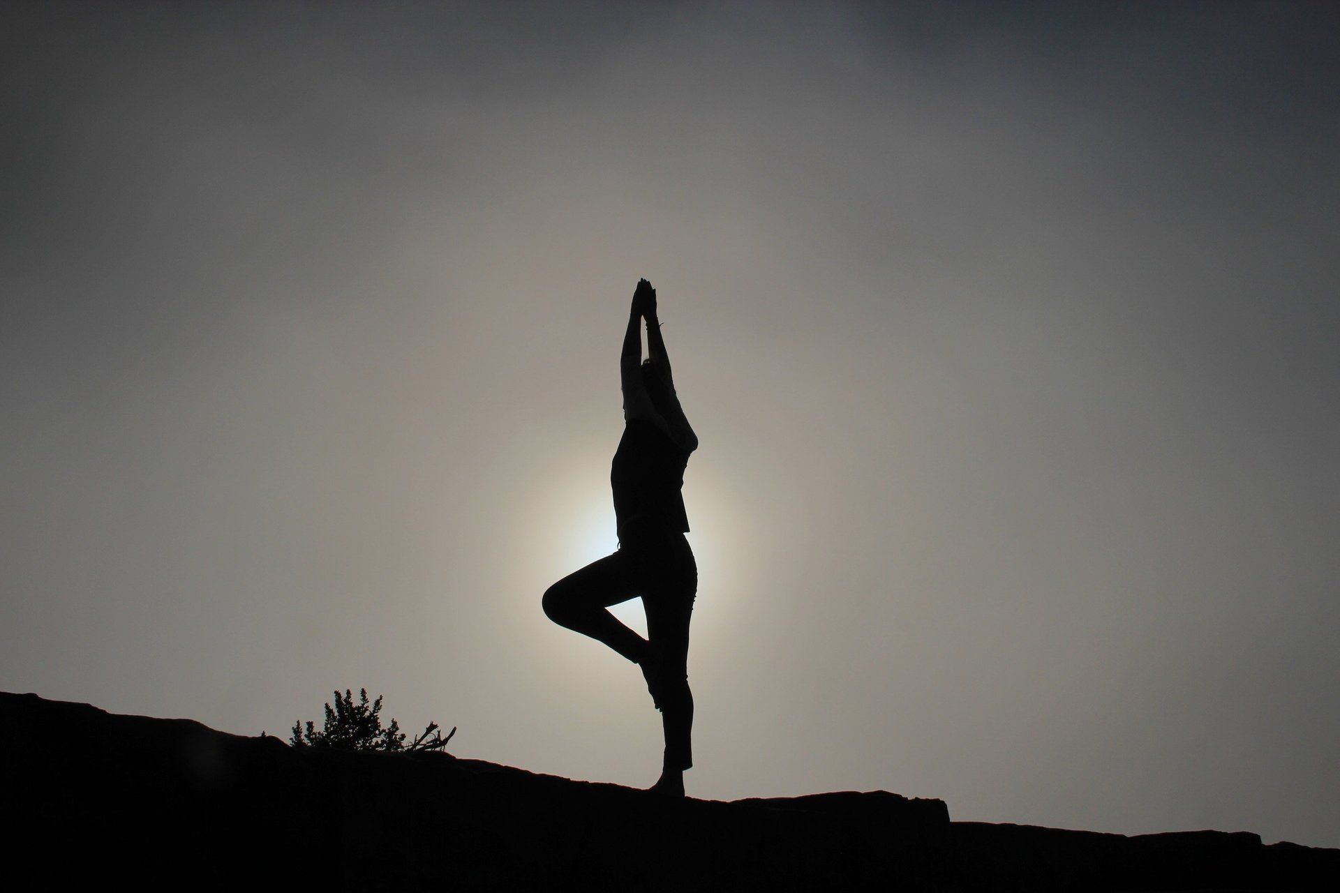 Tous en forme… La Plateforme de Clarisse
