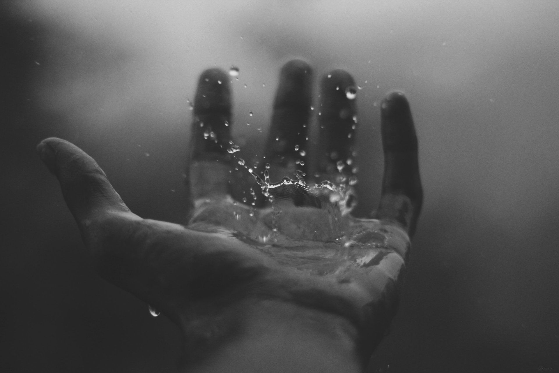 how to plan a celebration of life hand catching water