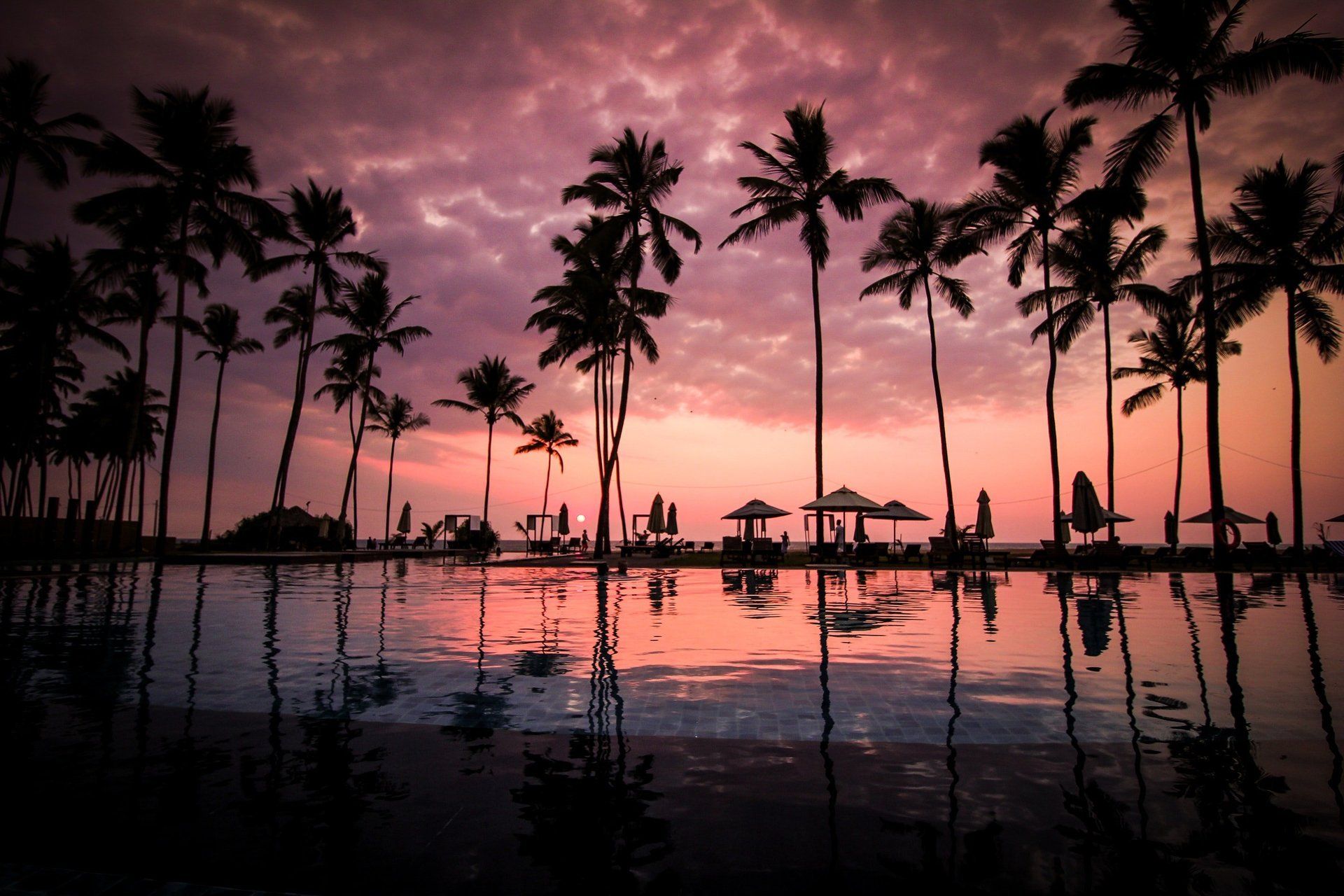Silhouetted palm trees reflect in a pool at sunset; pink and purple sky, resort setting.