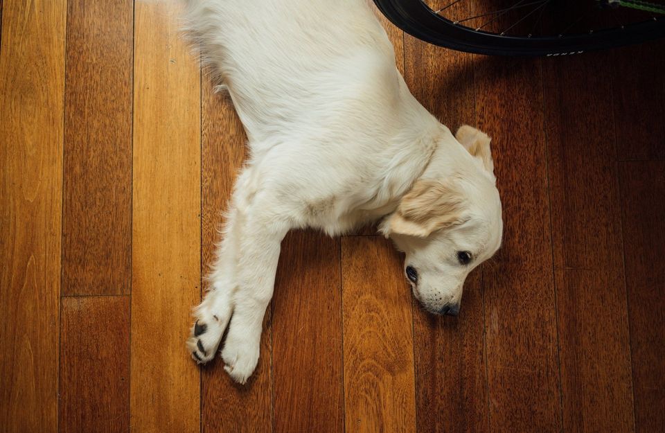 Lawson Hardwood Flooring