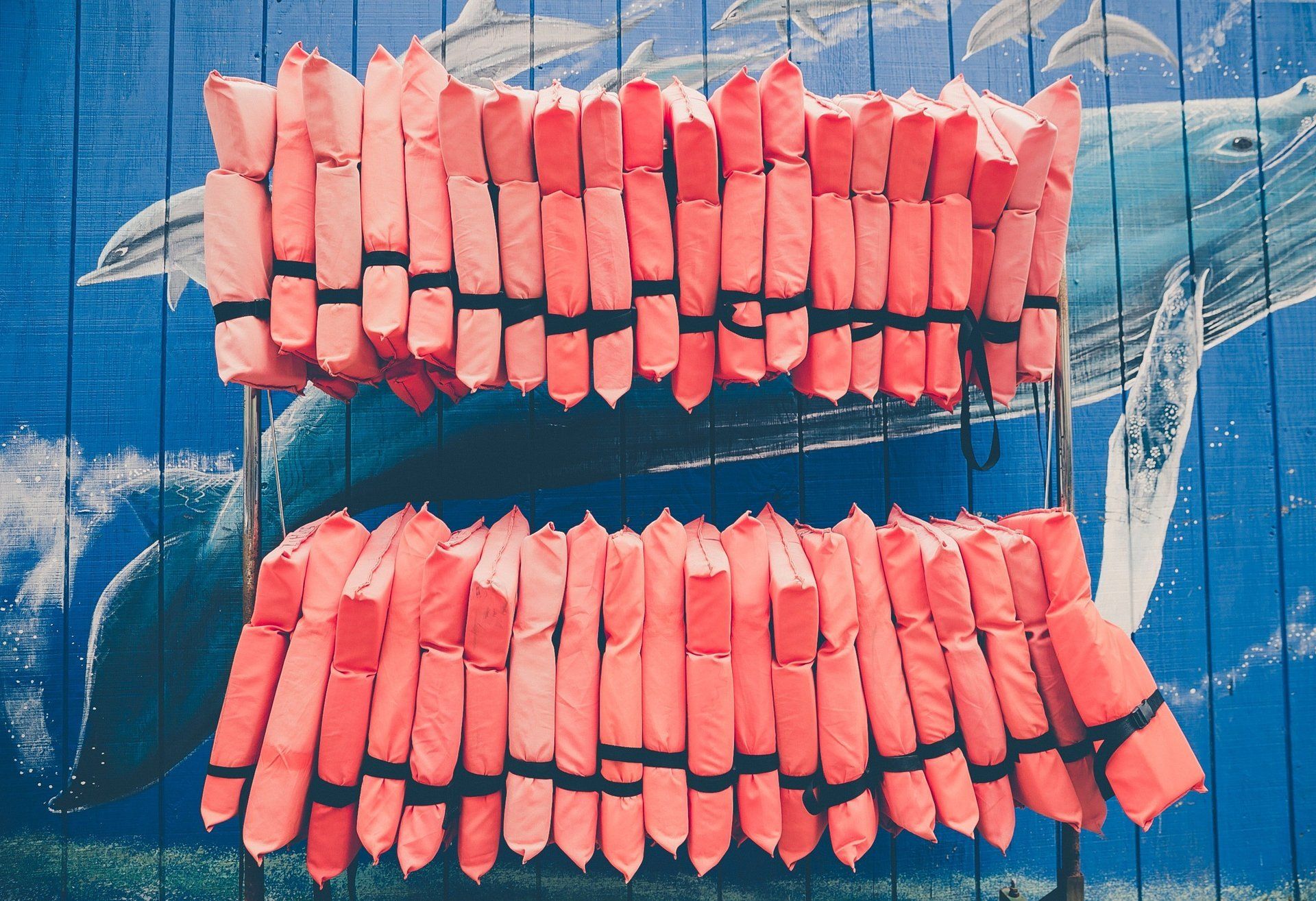 A bunch of life jackets are hanging on a wooden wall.