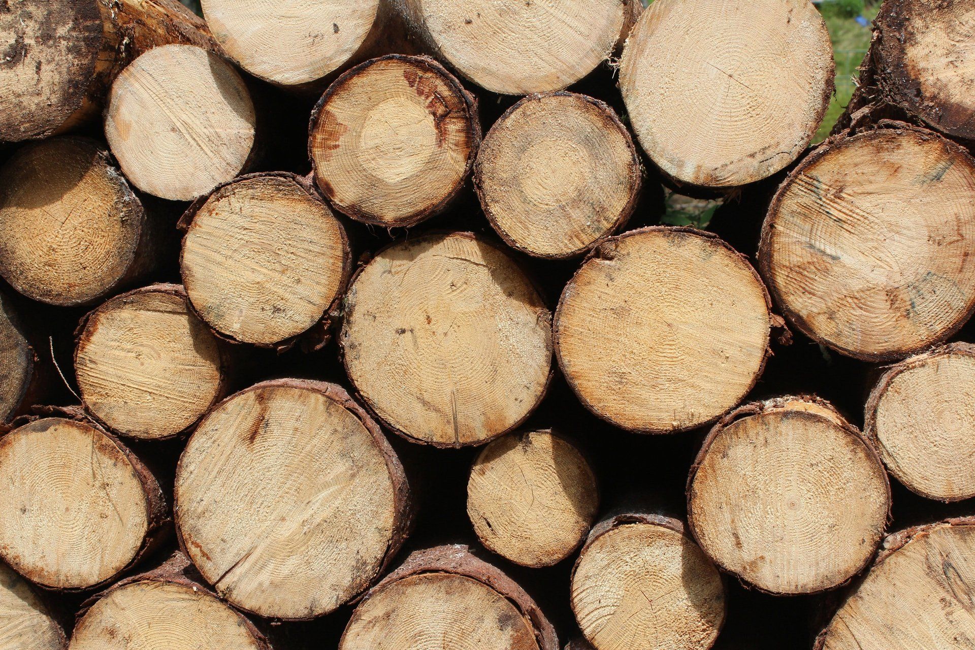 stacked logs