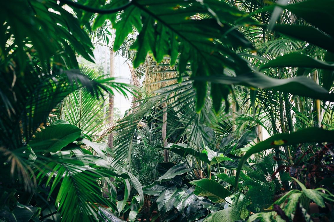 TROPICAL LA SERRA DI MALU