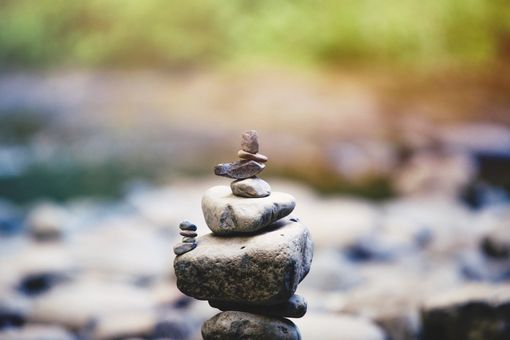 Executive Therapy - Dan Berger, Stony Brook, NY