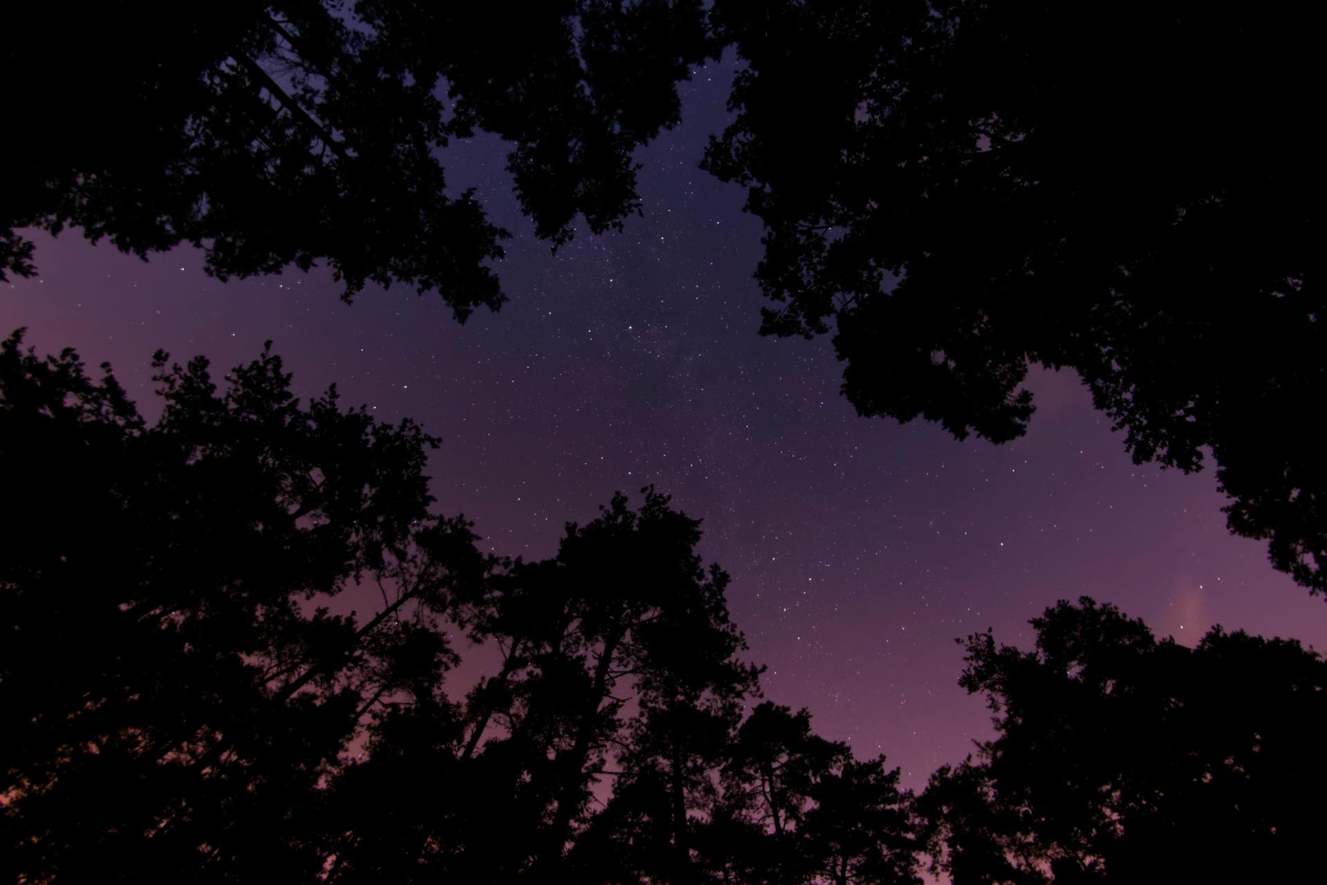 Torchlit Trail in Lyndonville Vermont
