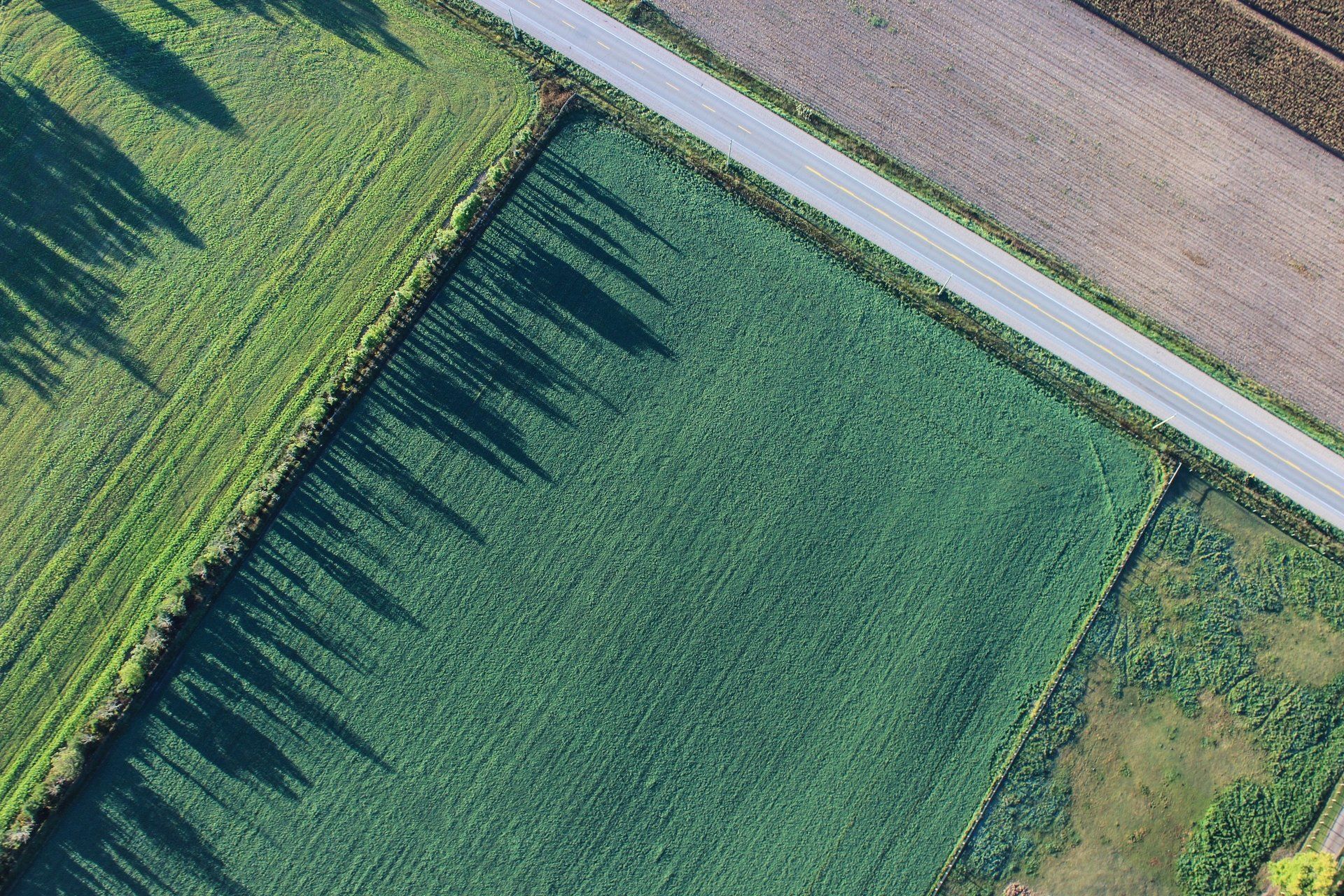 Ariel view of field
