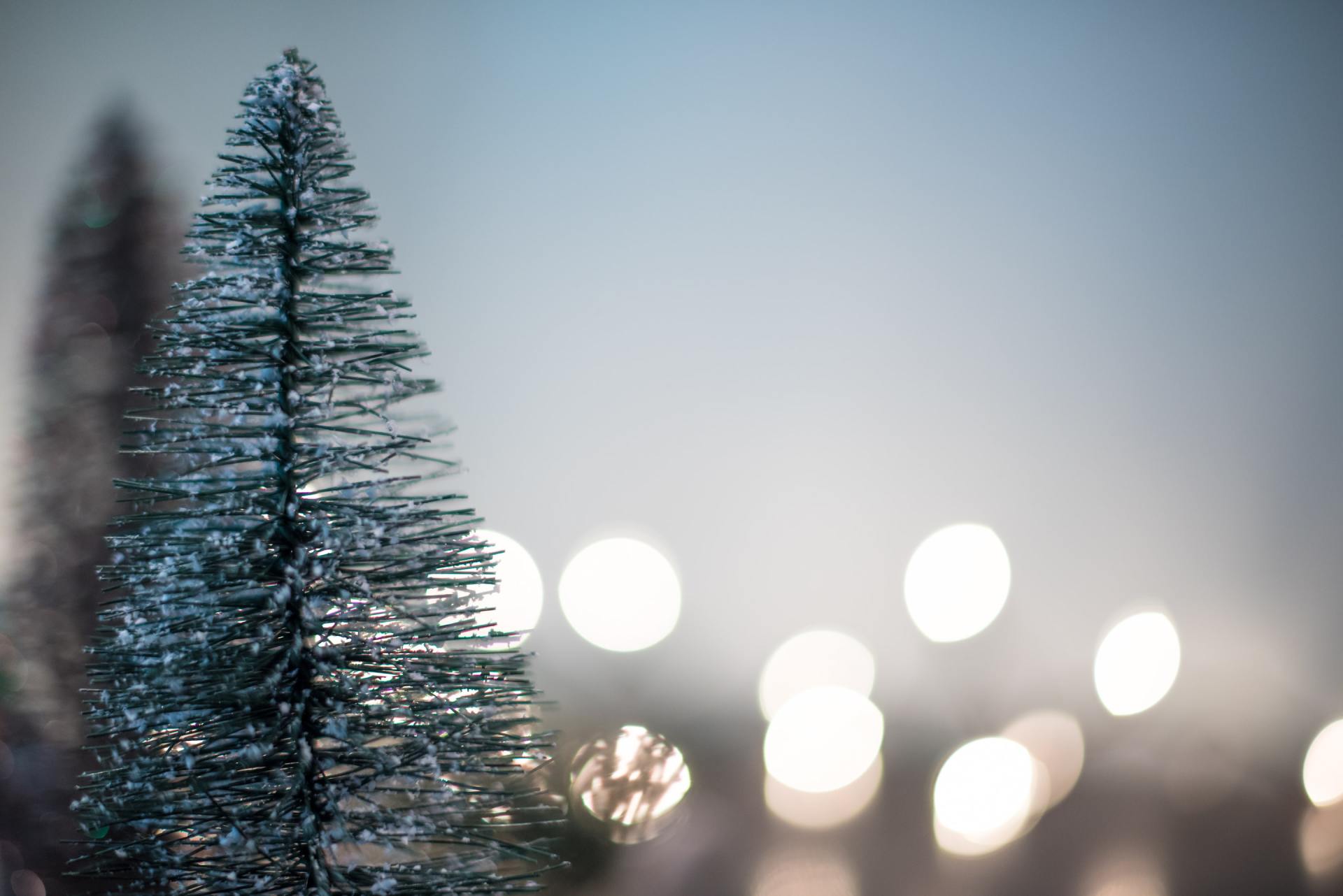 Reduce Your Holiday Stress
