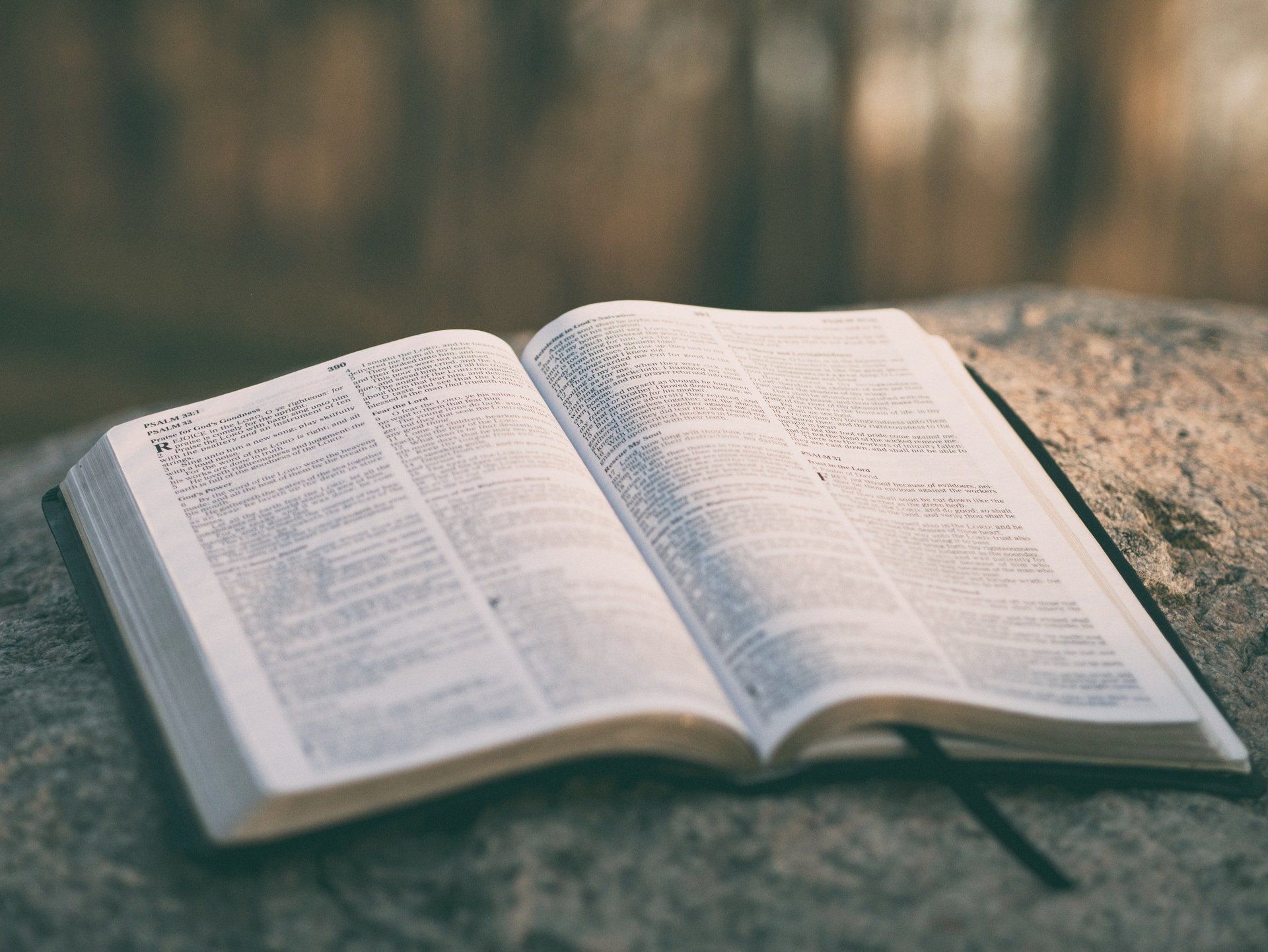 The Bible, opened up, and sitting on a rock in the forest.